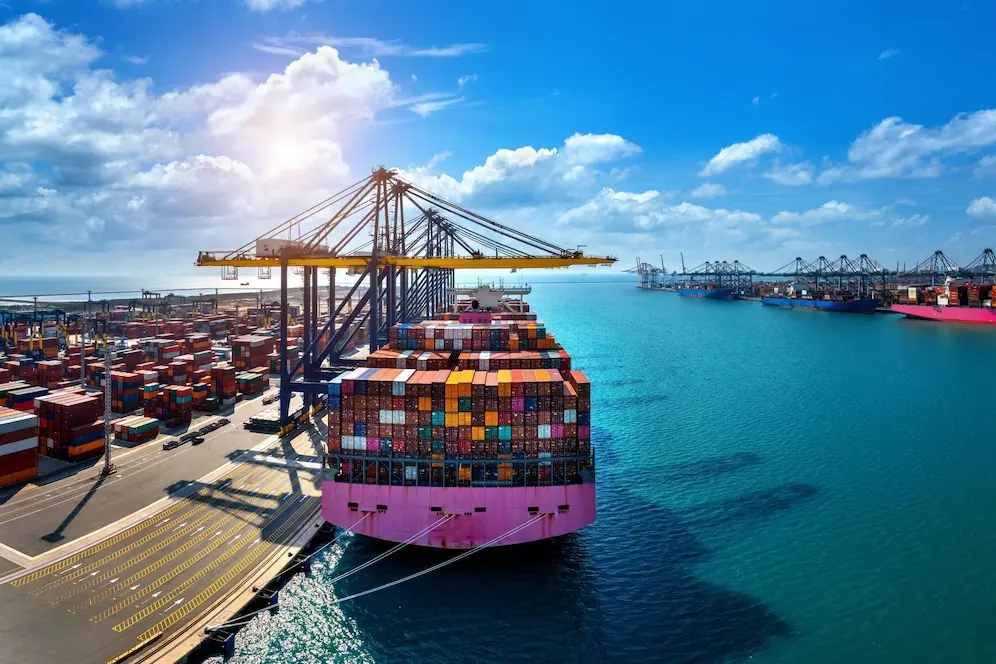 Customs clearance service for import export goods in india